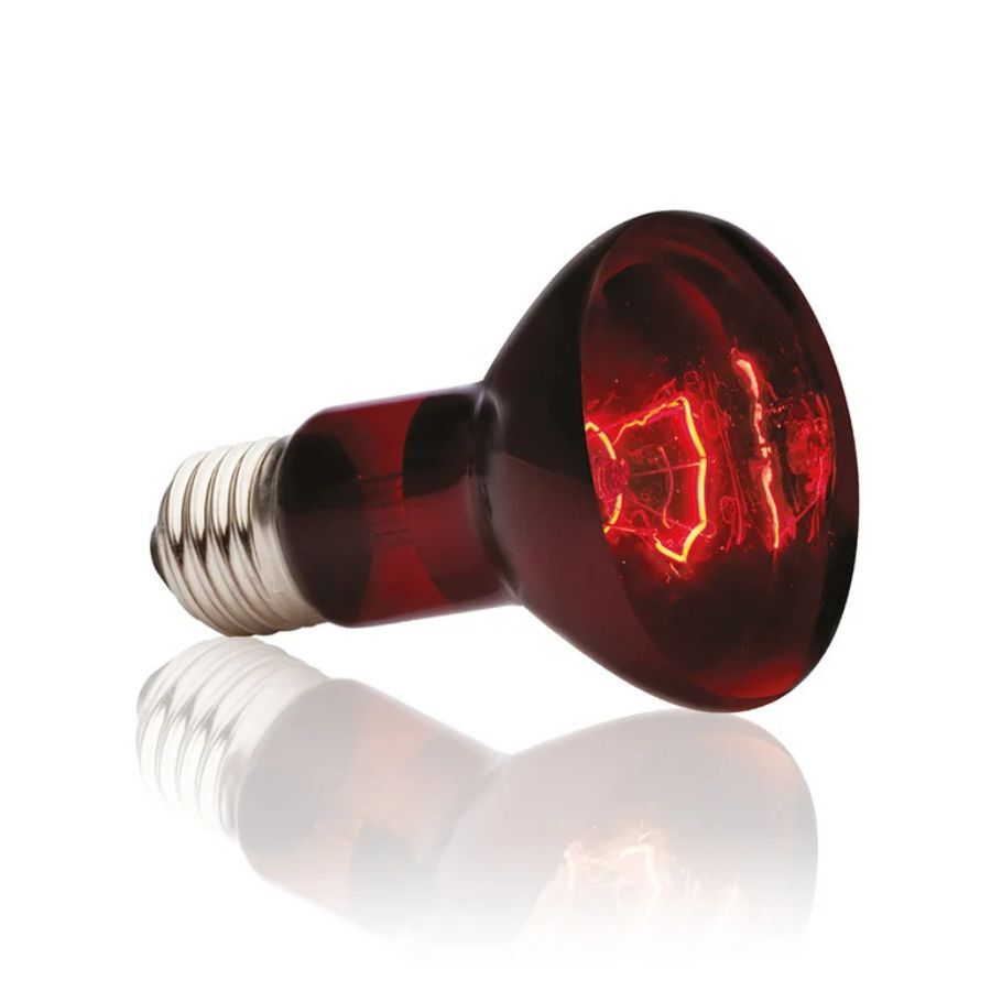 Exoterra Luz Solar infrarroja para terrarios, , large Imagen numero 2