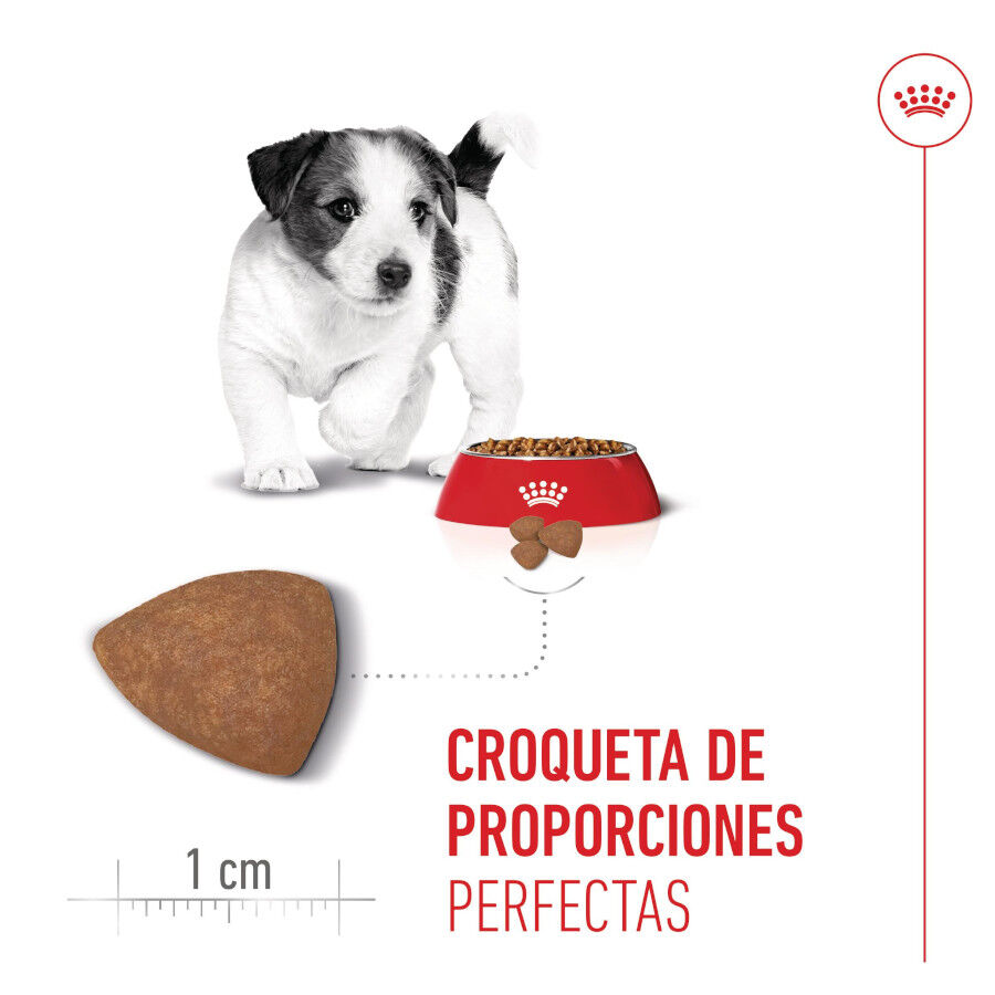 Royal Canin Mini Puppy pienso para perros thumbnail