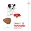 8 kg Royal Canin Mini Puppy pienso para perros, , large indicador imagen numero 5