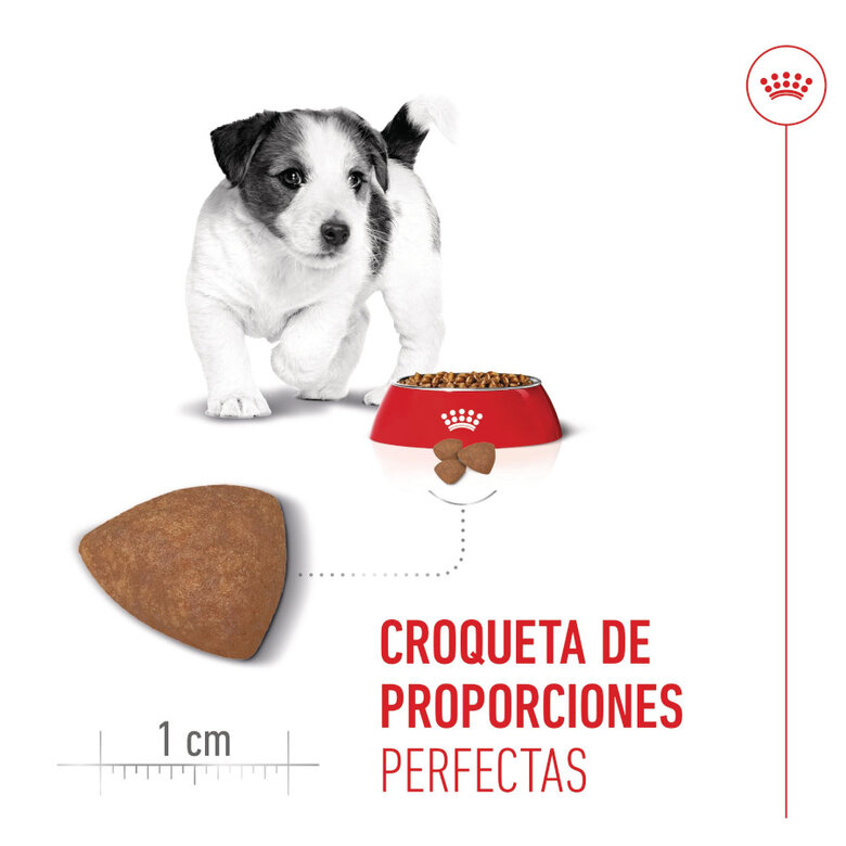 8 kg Royal Canin Mini Puppy pienso para perros,  Imagen numero 5 8 kg Royal Canin Mini Puppy pienso para perros, , large Imagen numero 5