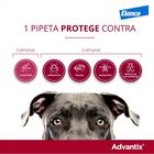 Advantix Pipetas Antiparasitarias para perros, , large image number null