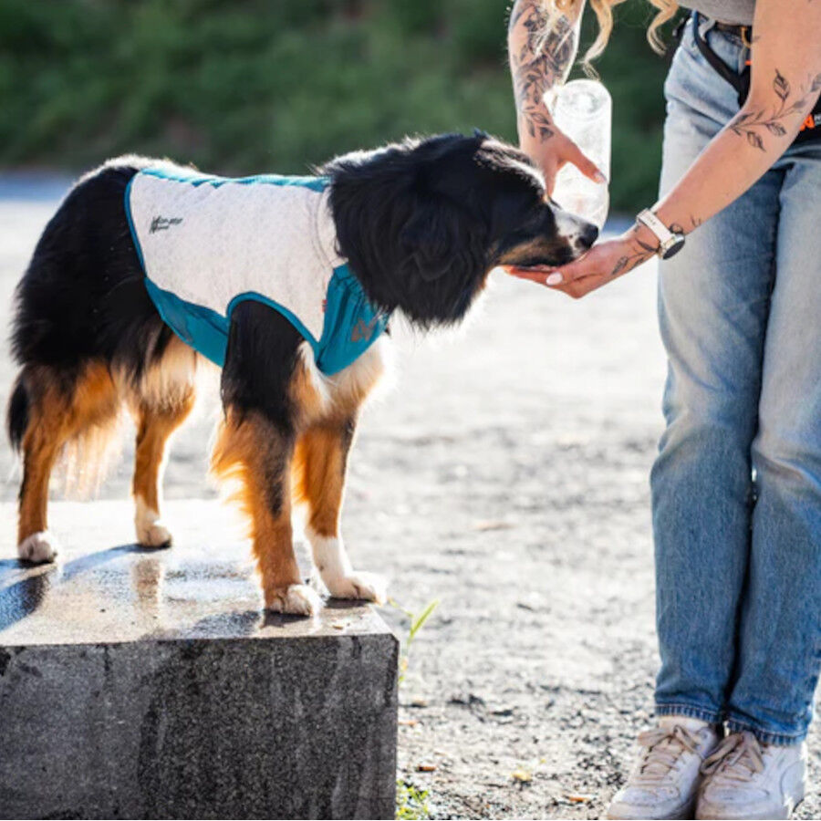Non-stop Dogwear Chaleco Refrescante Pull-On Gris para perros, , large Imagen numero 4