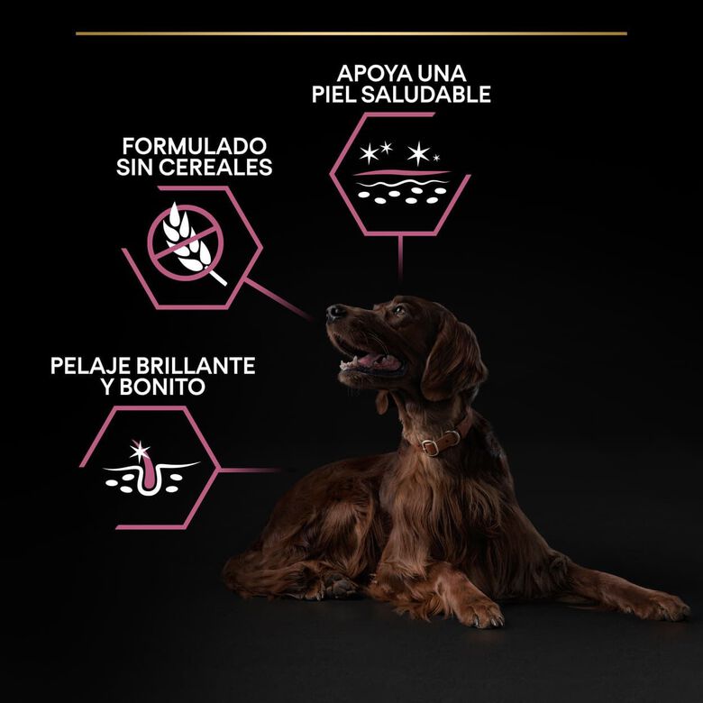 Pro Plan Large Athletic Adult Salmón piel sensible pienso para perros thumbnail