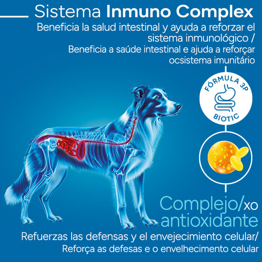 Criadores Cient&iacute;fico Senior Sensitive Medium-Maxi Pienso Salm&oacute;n para perros, , large Imagen numero 3