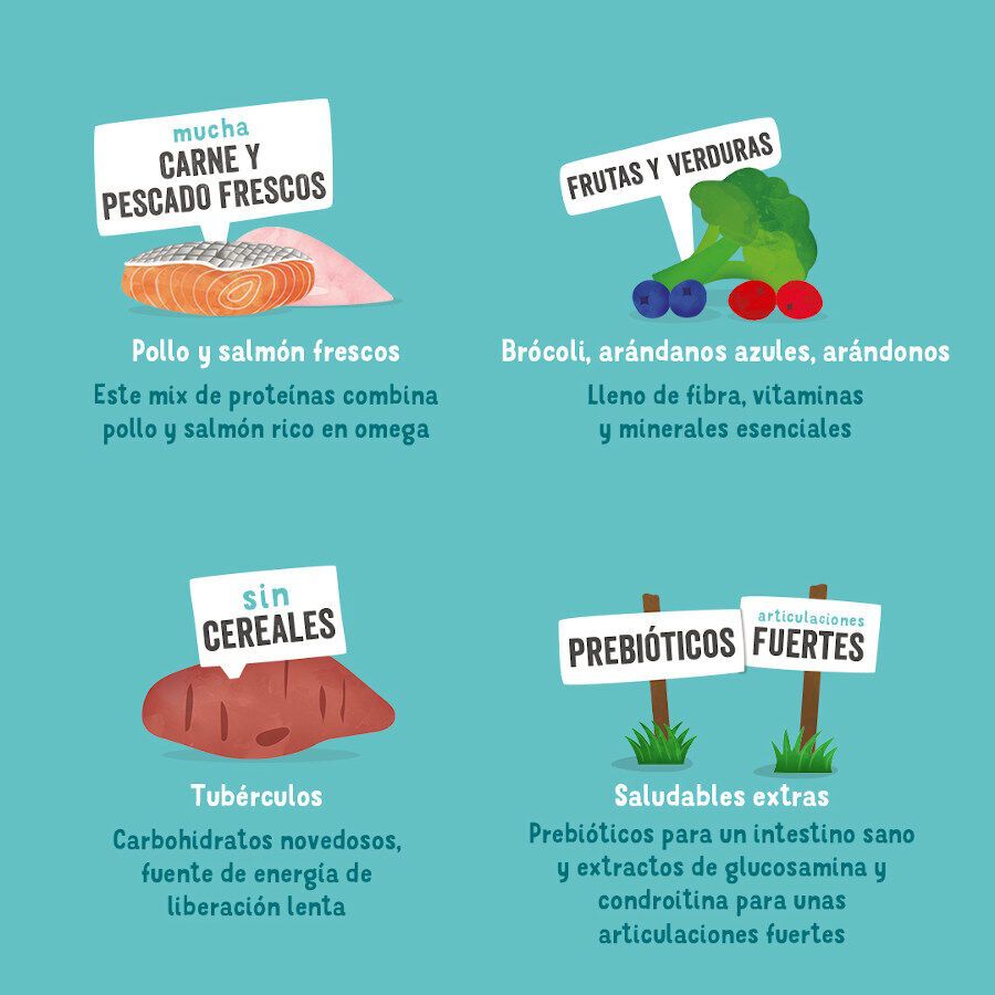 Edgard &amp; Cooper Senior Salmón Noruego y Pollo pienso para perros thumbnail