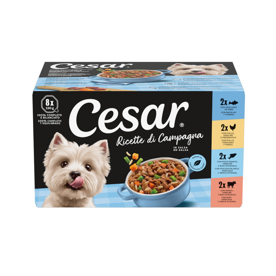 8 tarrinas x 150 g Cesar Recetas Campesinas en salsa tarrina para perros, , large Imagen numero 1