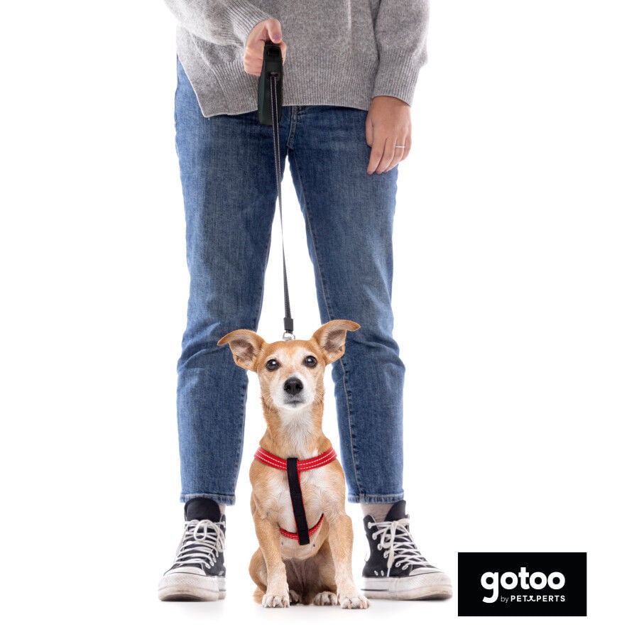 Gotoo Correa extensible negra para perros, , large Imagen numero 5