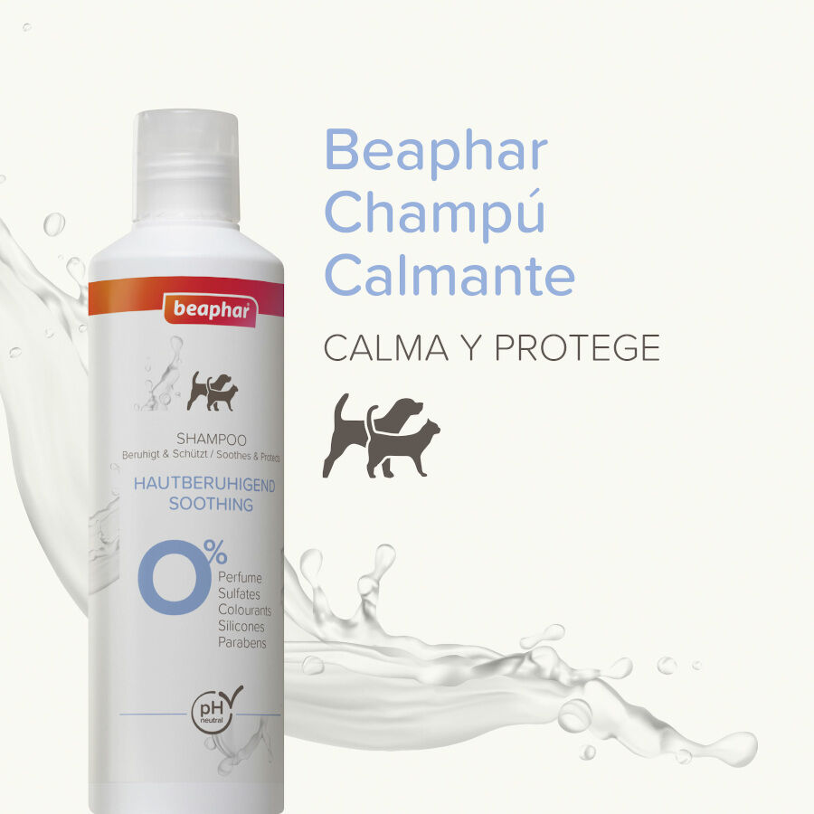 Beaphar Champú Calmante para perros y gatos thumbnail