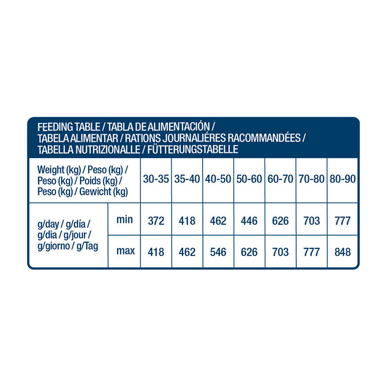 12 kg Nath Adult Maxi Pollo pienso para perros,  Imagen numero 4 12 kg Nath Adult Maxi Pollo pienso para perros, , large Imagen numero 4