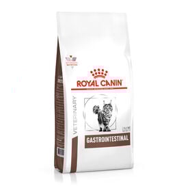 Royal Canin Veterinary Gastrointestinal pienso para gatos