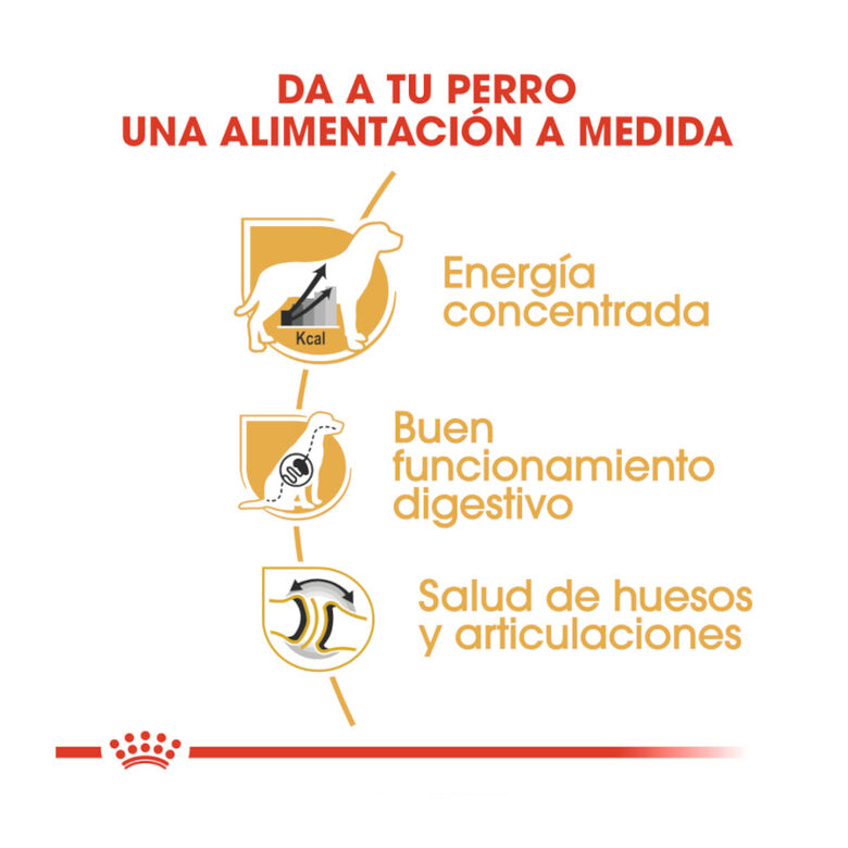 Royal Canin Adult Great Dane pienso para perros thumbnail