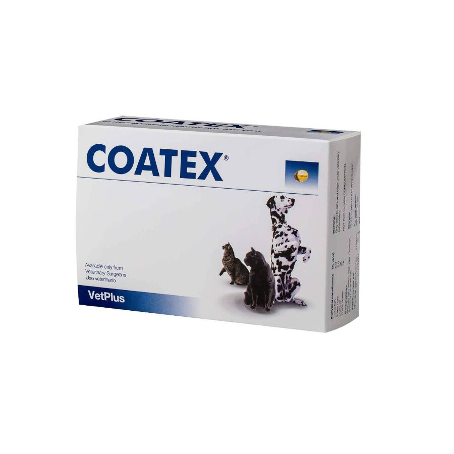 240 comprimidos VetPlus Coatex Suplemento Vitam&iacute;nico para mascotas, , large Imagen numero 1