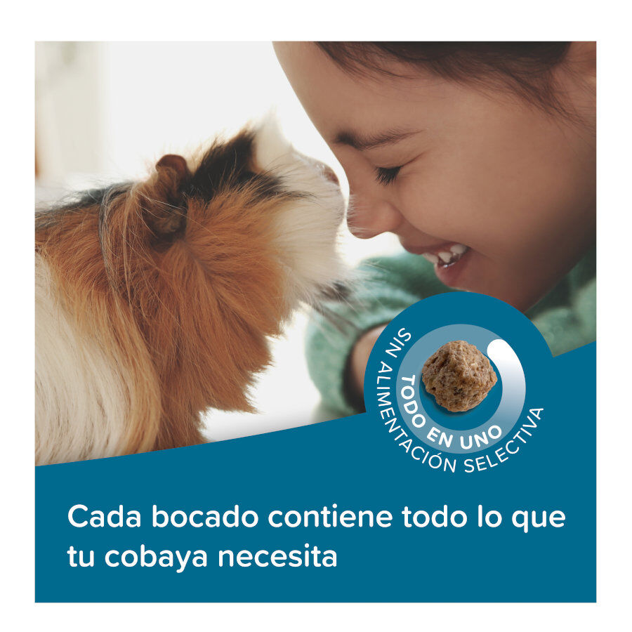 Beaphar Care + Pienso para cobayas, , large Imagen numero 4