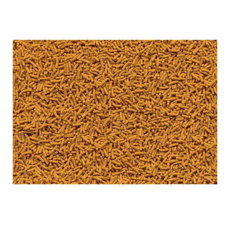 Tetra Cichlid Sticks para peces thumbnail