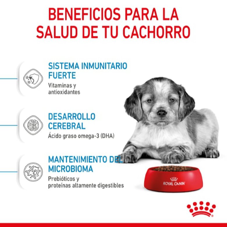 Royal Canin Puppy Medium pienso para perros, , large image number null