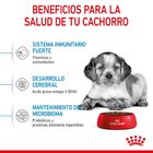Royal Canin Puppy Medium pienso para perros, , large image number null