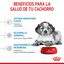 15 kg Royal Canin Puppy Medium pienso para perros, , large indicador imagen numero 6
