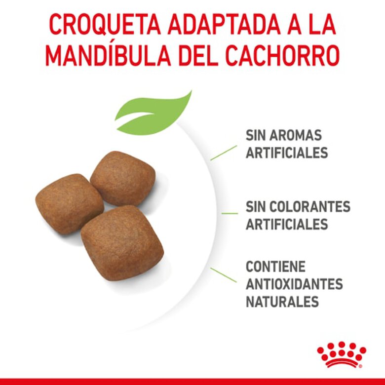 Royal Canin Junior Giant pienso para perros, , large image number null