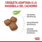 Royal Canin Junior Giant pienso para perros, , large image number null