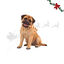 1 ud. Wonder Christmas Bast&oacute;n Navidad Gigante Cuero Prensado Snacks para perros, , large indicador imagen numero 1