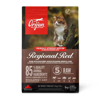 Orijen Regional Red pienso para gatos