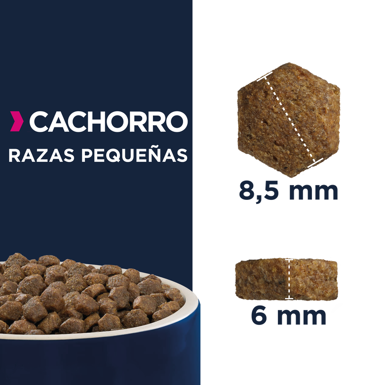 3 kg Eukanuba Puppy&Junior Small Pollo pienso para perros,  Imagen numero 2 3 kg Eukanuba Puppy&Junior Small Pollo pienso para perros, , large Imagen numero 2
