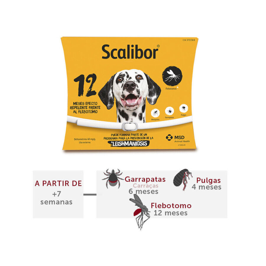 Scalibor collar shop