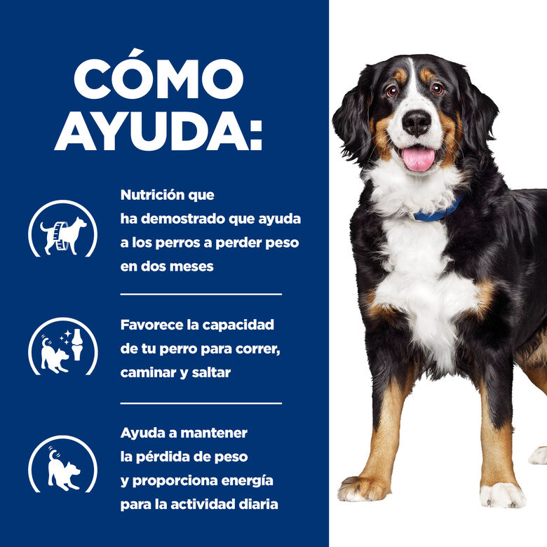 Hill&#039;s Prescription Diet Canine j/d Metabolic + Mobility lata para perros thumbnail