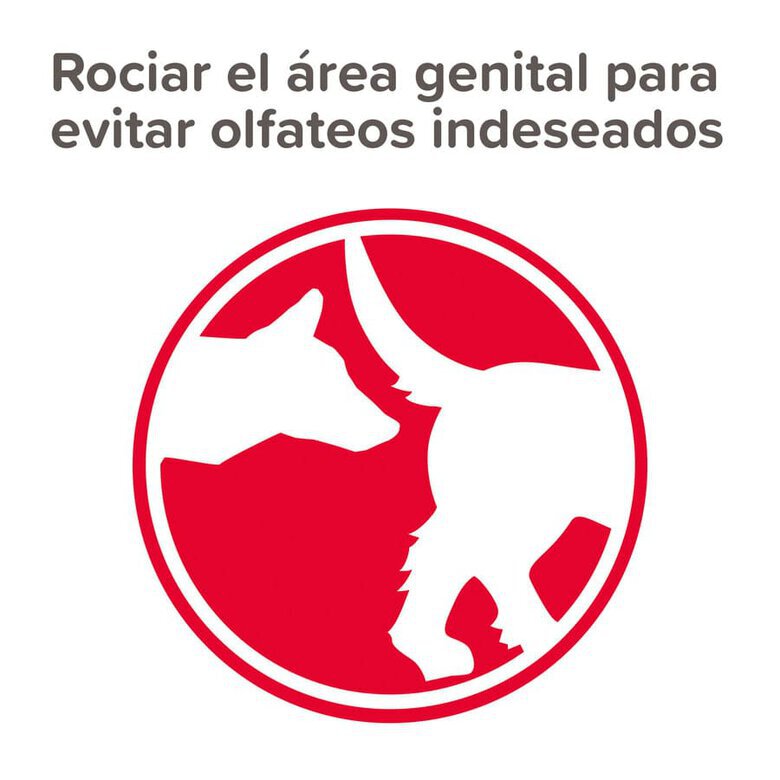 higiene_perros_Beaphar_spray_anticelo_BEA10338_M_AG23_2 Imagen numero 2 Beaphar Spray Anticelo para perros hembras2 Imagen numero 2