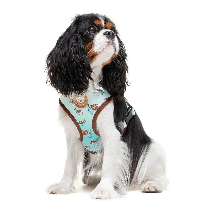 Dukier Arn&eacute;s Reversible Estampado Tortugas para perros, , large Imagen numero 2