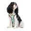 Dukier Arnés Reversible Estampado Tortugas para perros, , large indicador imagen numero 2