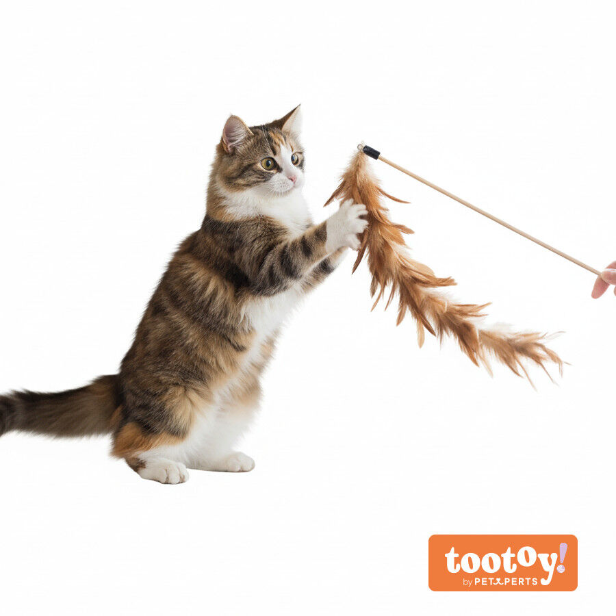 Tootoy! Caña Interactiva con Plumas para gatos thumbnail