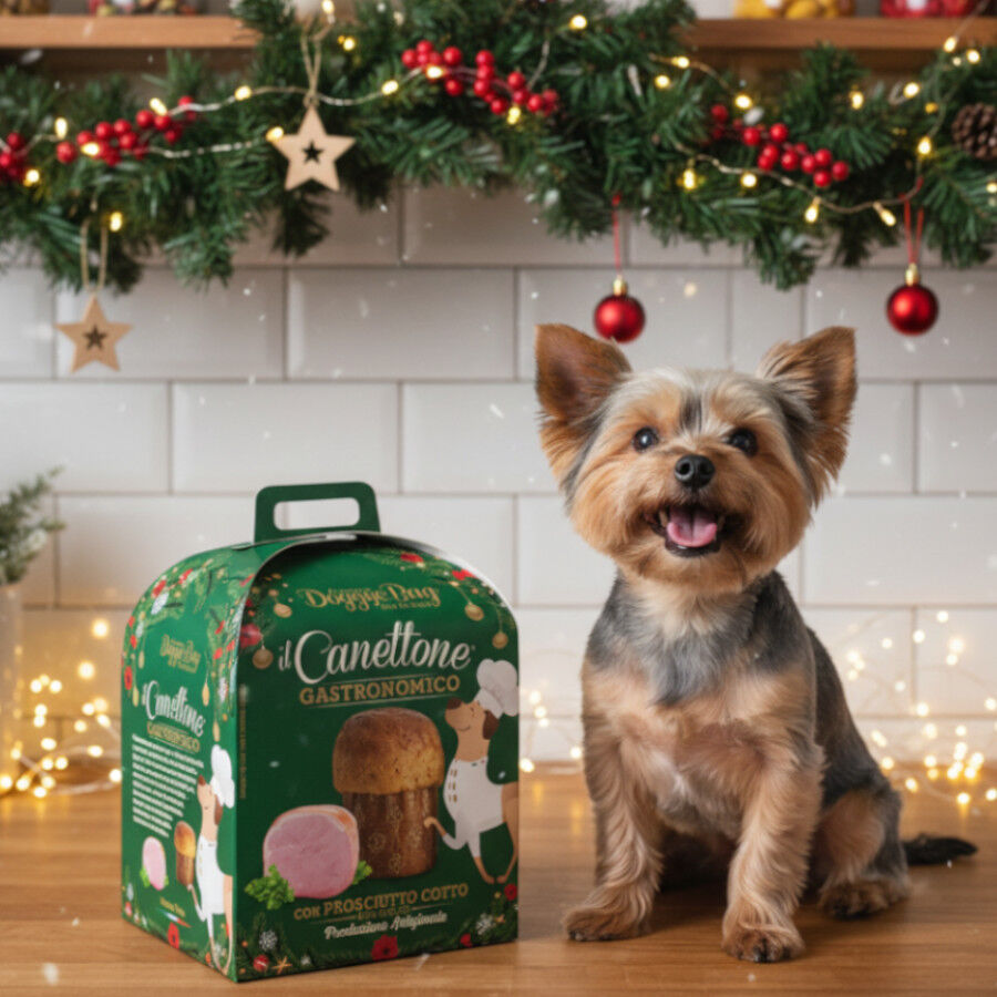 125 g Doggyebag Snack Canettone Navide&ntilde;o Gourmet para Perros, , large Imagen numero 2