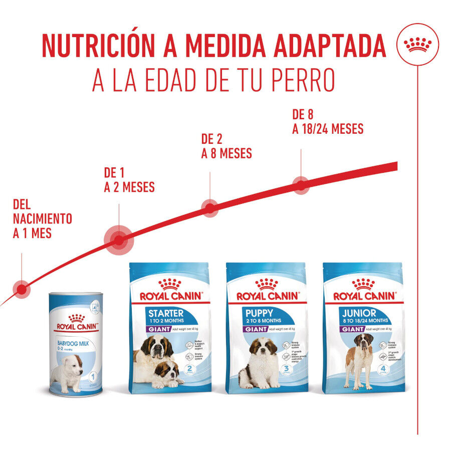 Royal Canin Starter Puppy Giant Pienso para perros thumbnail