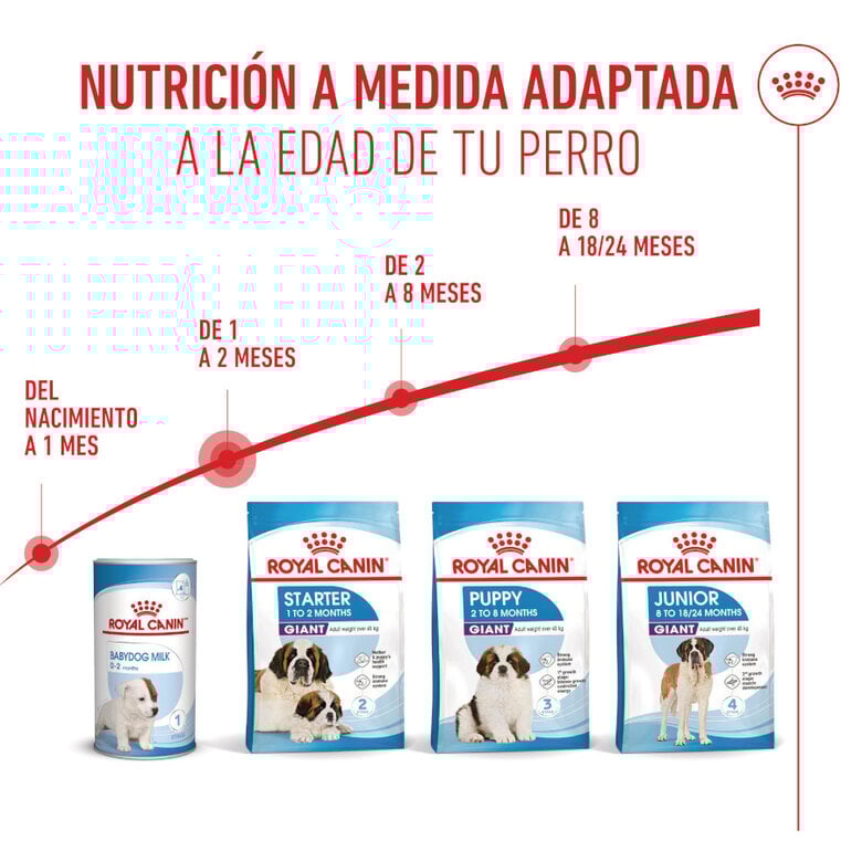 15 kg Royal Canin Starter Puppy Giant Pienso para perros,  Imagen numero 7 15 kg Royal Canin Starter Puppy Giant Pienso para perros, , large Imagen numero 7
