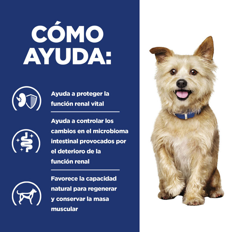 Hill&#039;s Prescription Diet Kidney Care k/d pienso para perros thumbnail