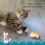 Outward Hound Catstages Dental Peluche Banana para gatos, , large indicador imagen numero 3