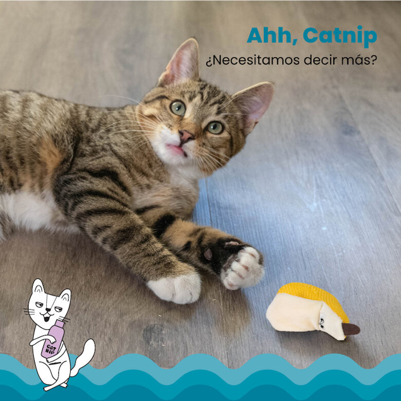 Catstages Dental Peluche Banana para gatos,  Imagen numero 3 Catstages Dental Peluche Banana para gatos, , large Imagen numero 3