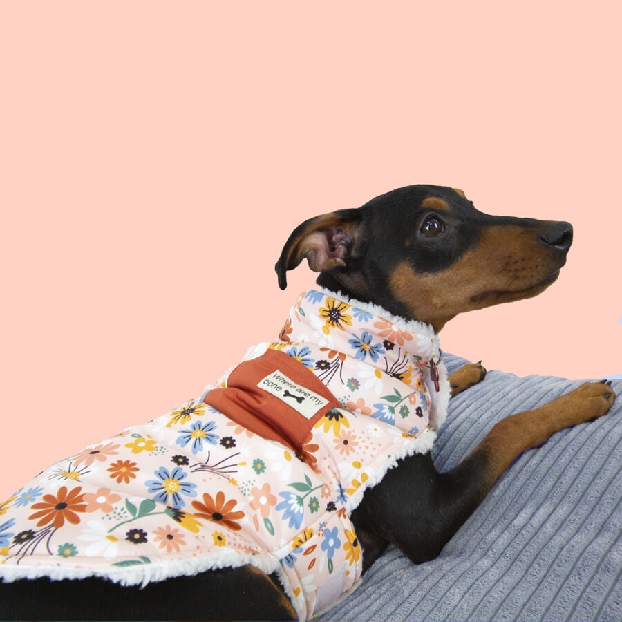 Outech Spring abrigo de flores para perros, , large Imagen numero 3