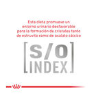 Royal Canin Veterinary Gastrointestinal Fibre Response pienso para gatos, , large image number null