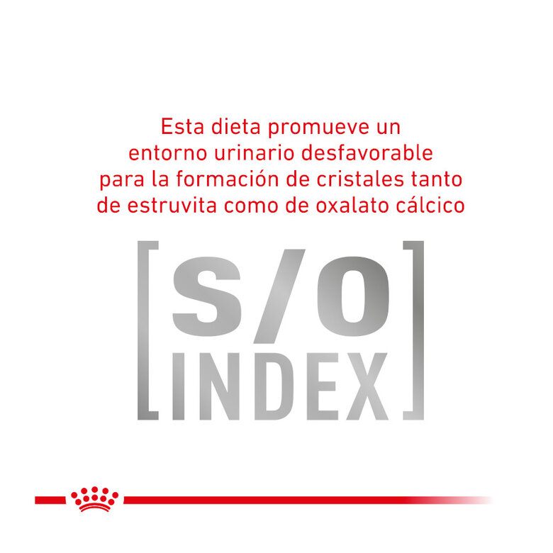 4 kg Royal Canin Veterinary Gastrointestinal Fibre Response pienso para gatos,  Imagen numero 6 4 kg Royal Canin Veterinary Gastrointestinal Fibre Response pienso para gatos, , large Imagen numero 6