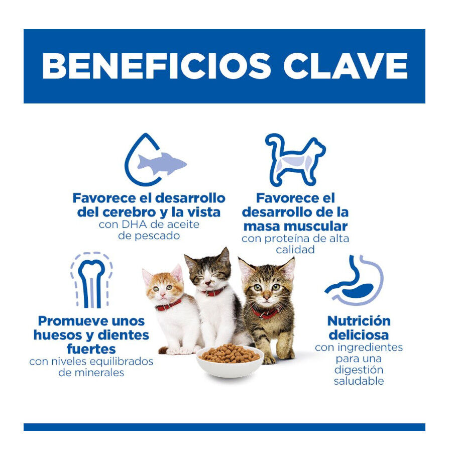 1.5 kg Hill's Science Plan Pienso Salm&oacute;n para gatitos, , large Imagen numero 10