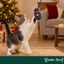 Wonder Christmas Rat&oacute;n Juguete para gatos, , large indicador imagen numero 2