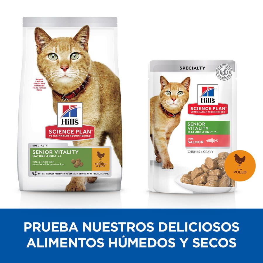 85 g Hill's Science Plan Youthful Vitality Adult Mature 7+ Pollo en Salsa sobre para gatos, , large Imagen numero 4