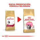 Royal Canin Kitten Persia pienso para gatos, , large image number null