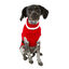 Wonder Christmas Santa jersey navideño para perros, , large indicador imagen numero 1