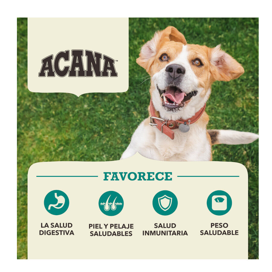 11.4 kg Acana Coldwater Fish pienso para perros, , large Imagen numero 3
