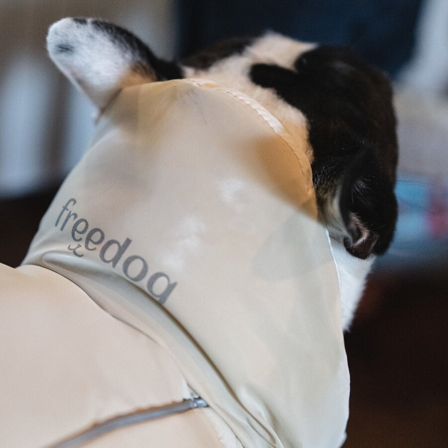 Freedog Abrigo Impermeable Winterhug Beige para perrros thumbnail