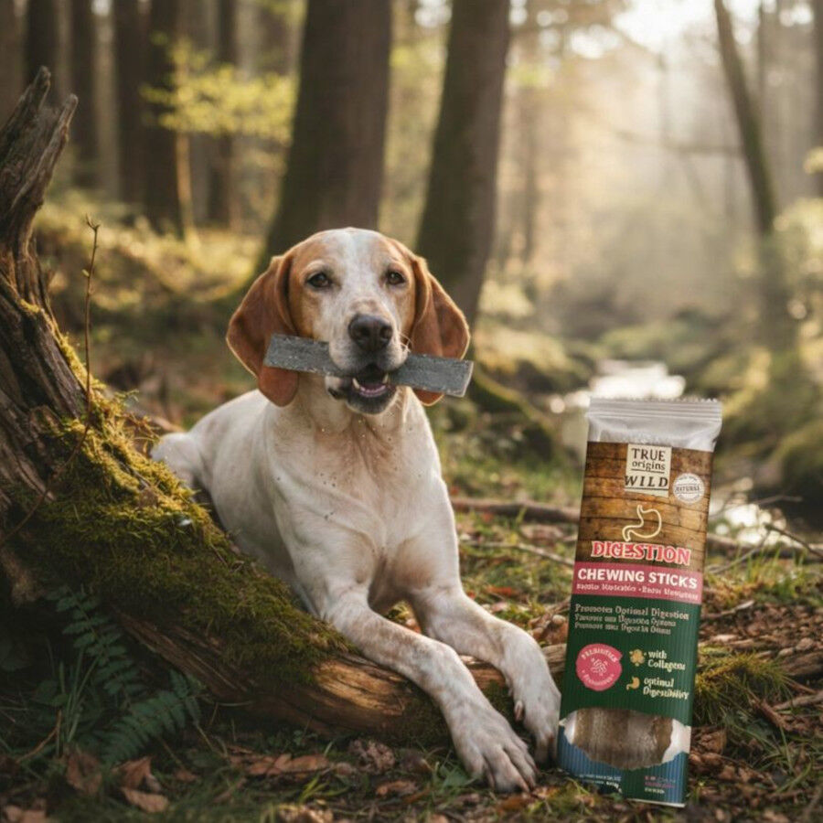 1 ud. True Origins Digestion Chewing Sticks Snack para perros, , large Imagen numero 1