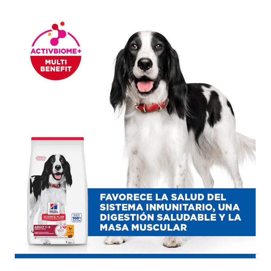 Hill&#039;s Science Plan Adult Medium Pienso Pollo para perros thumbnail